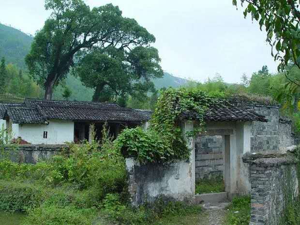 三僚杨公风水