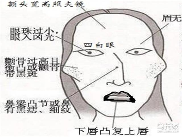 克夫相女人标准图片3